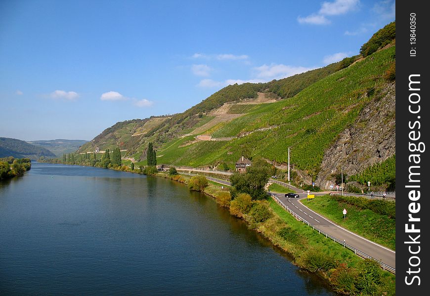 Moselle with vineyards near Trittenheim in Germany