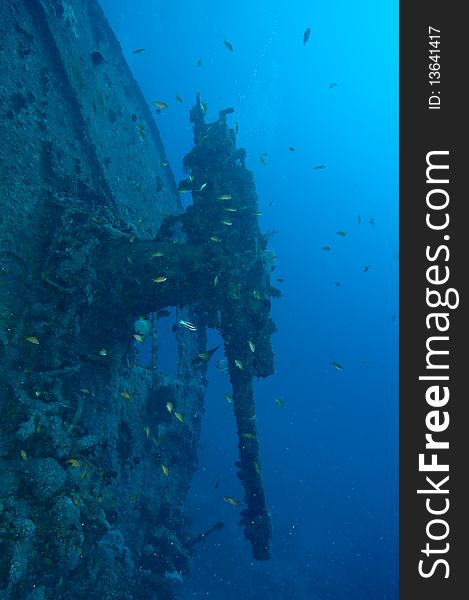 Stern gun on the wreck of the Thistlegorm. Stern gun on the wreck of the Thistlegorm