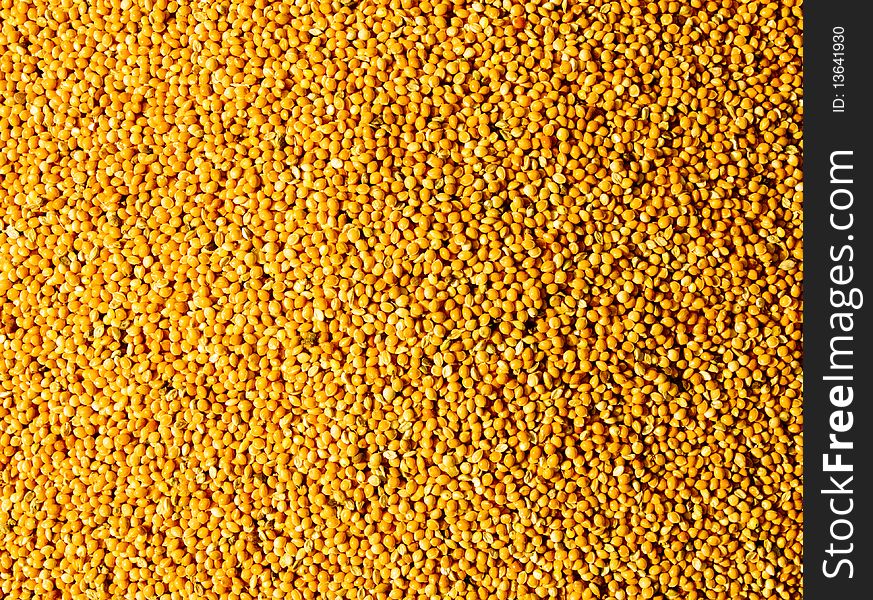 Millet grains sunlight background texture