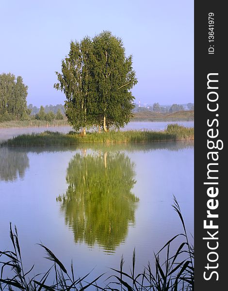 Landscape with an summer tree reflected in a water smooth surface. Landscape with an summer tree reflected in a water smooth surface