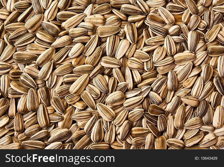 The sunflower seed , use for background design in this topic
