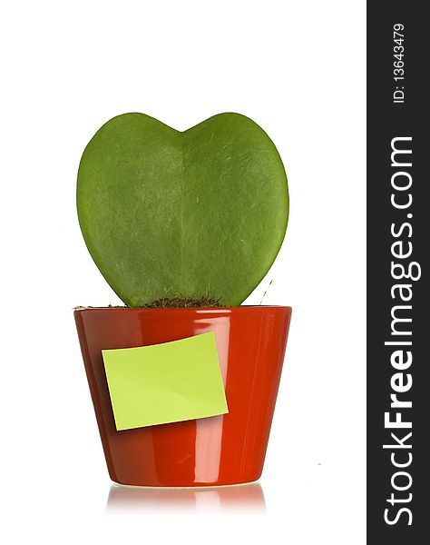 heart shape plant with post it