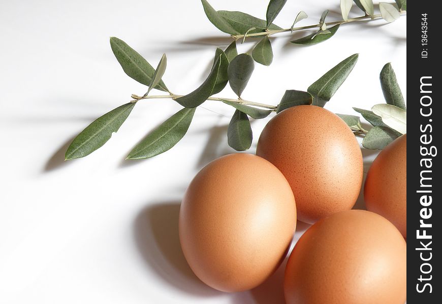 Eggs with olive branches on a white background