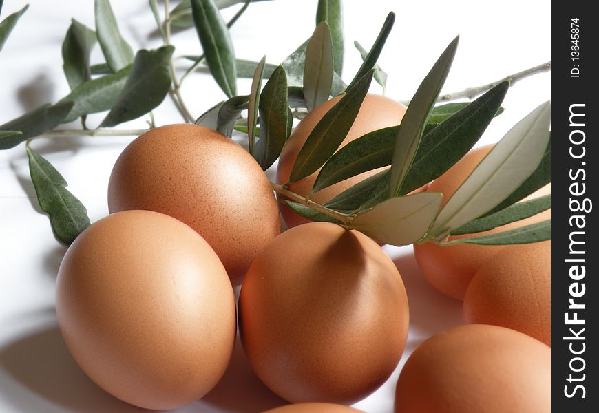 Eggs with olive branches on a white background