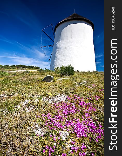 A shot of a windmill on a summers day with beautiful blue skies in the background and purple flowers in the foreground. A shot of a windmill on a summers day with beautiful blue skies in the background and purple flowers in the foreground