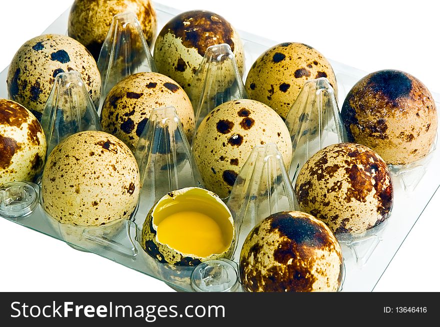 Packing quail eggs on the white background. Packing quail eggs on the white background