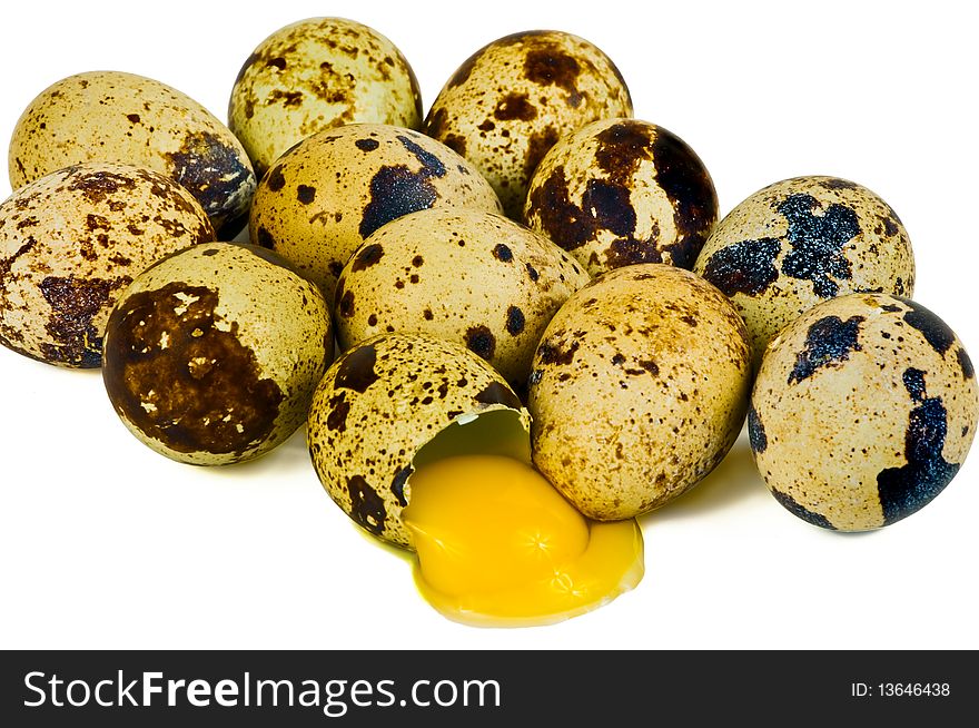 Eggs quail