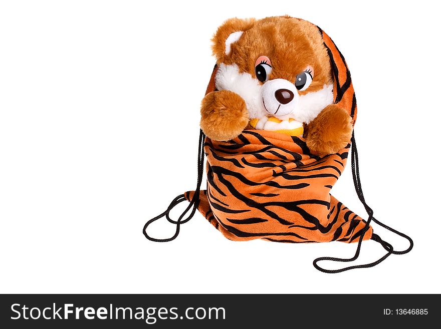 Teddy bear in a bag isolated on white background. Teddy bear in a bag isolated on white background