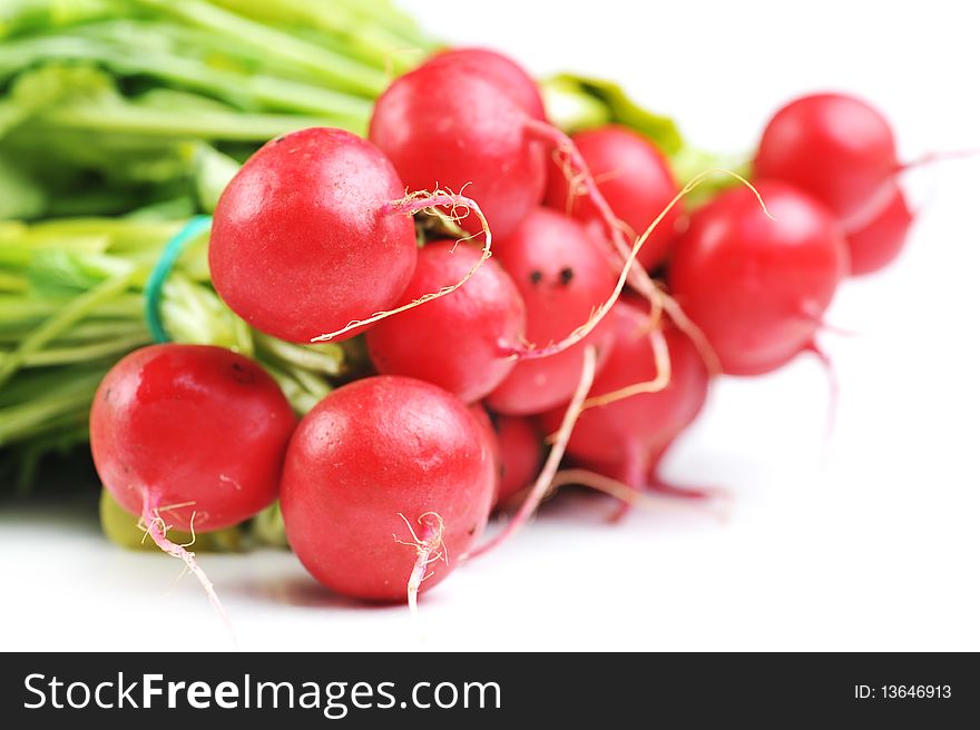 Bunch of red radish with leaves, isolated on white