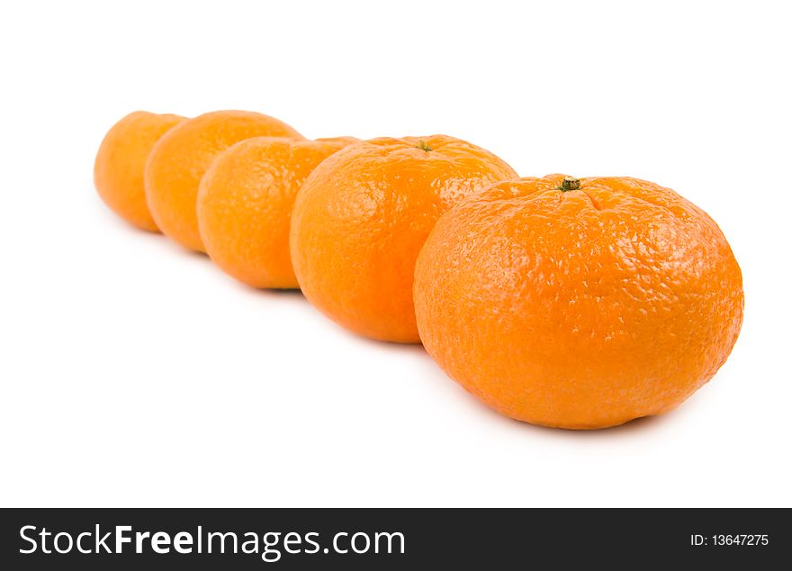 A large group of mandarin isolated on a white background