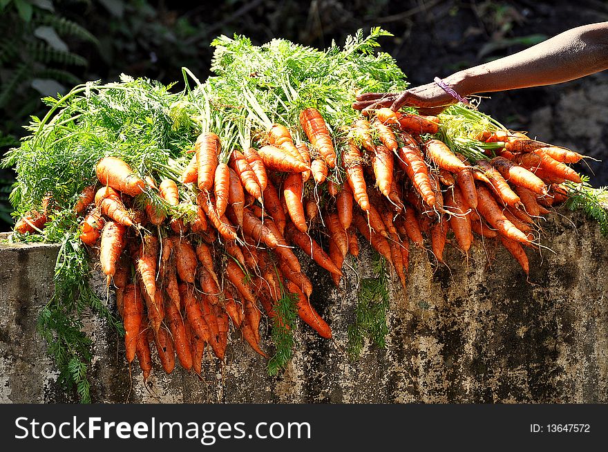Fresh carrots for sale in a rural Indian Market.