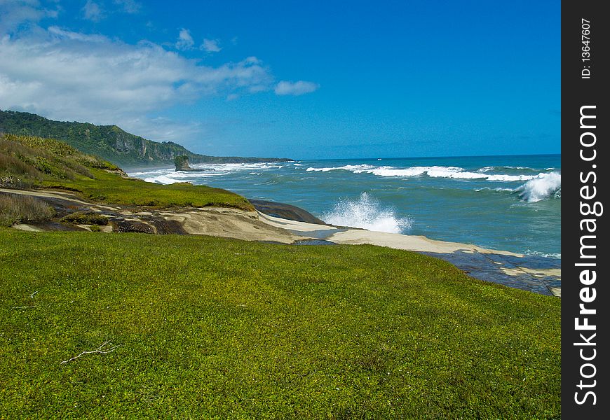 Grassy beach on southern island in new zealand. Grassy beach on southern island in new zealand
