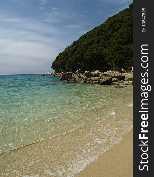 Beach and rainforest on southern island in new zealand