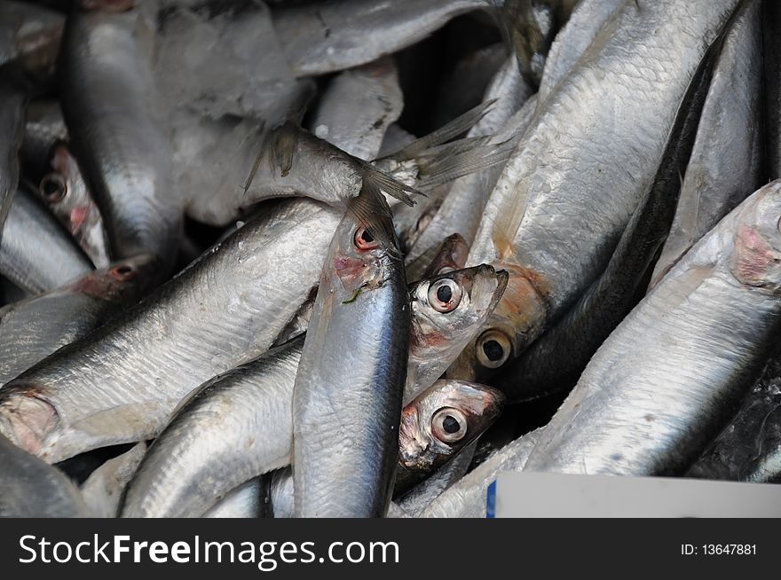 Small silver fish presented at a market stall.