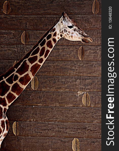Giraffe on brown wood pin back