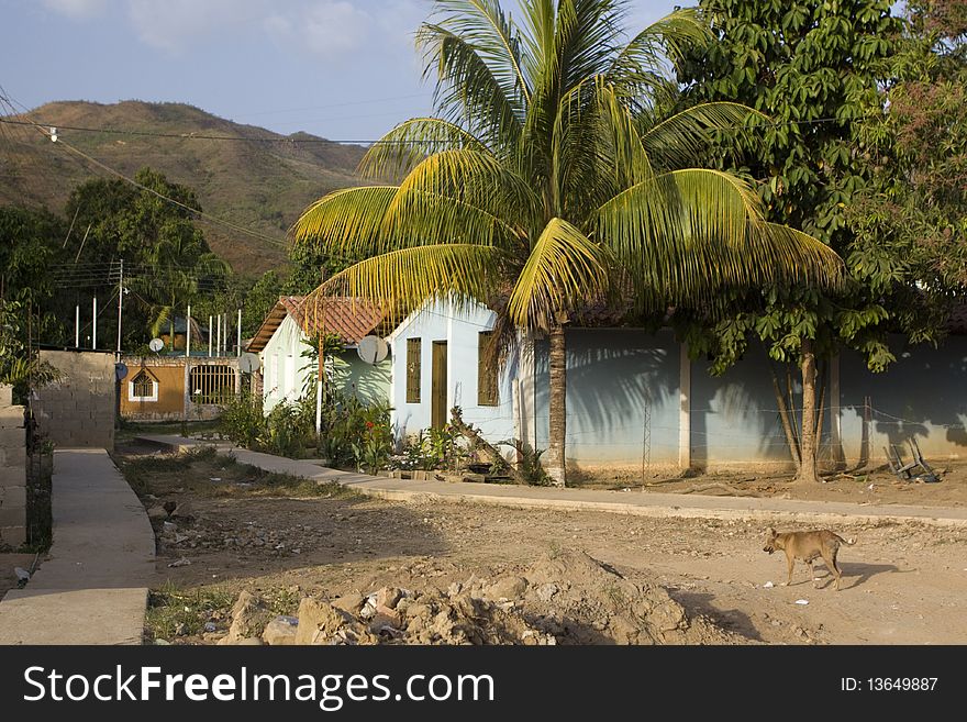 Venezuelan Village