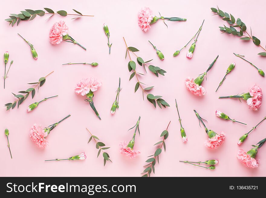 Pink carnation flowers on white background. Valentines day greeting card, flat lay, top view, copy space. Pink carnation flowers on white background. Valentines day greeting card, flat lay, top view, copy space