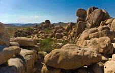 Nature In Joshua Tree National Park Royalty Free Stock Photos Nature In Joshua Tree National Park Royalty Free Stock Photos