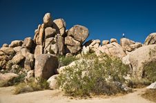 Nature In Joshua Tree National Park Stock Photography Nature In Joshua Tree National Park Stock Photography