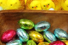 Chicks And Eggs Stock Images Chicks And Eggs Stock Images