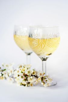 Wine Glasses With White Wine And A Plums Branch Royalty Free Stock Image Wine Glasses With White Wine And A Plums Branch Royalty Free Stock Image