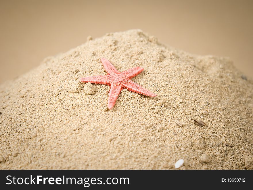 Starfish on sand and brown background. Starfish on sand and brown background