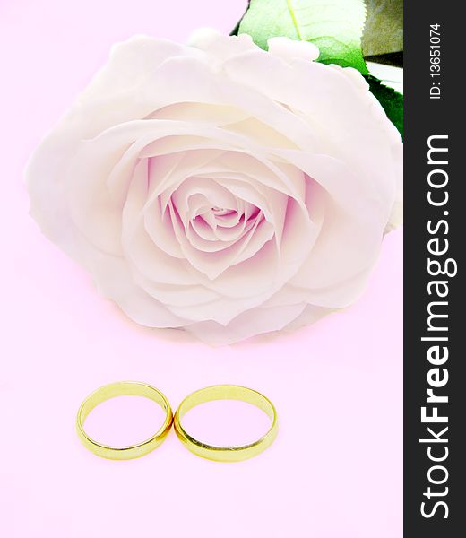 Pink rose and wedding rings on silk violet background