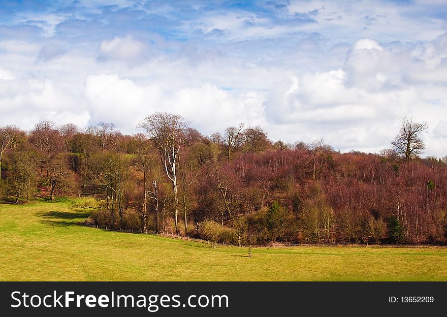 Forest and meadows with a beautiful cloudy sky