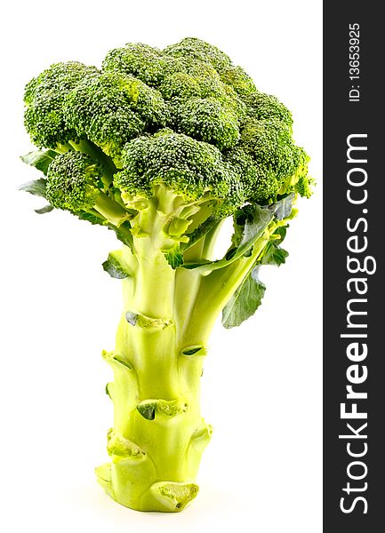 The branch broccoli  should stand as tree, isolated against a white background