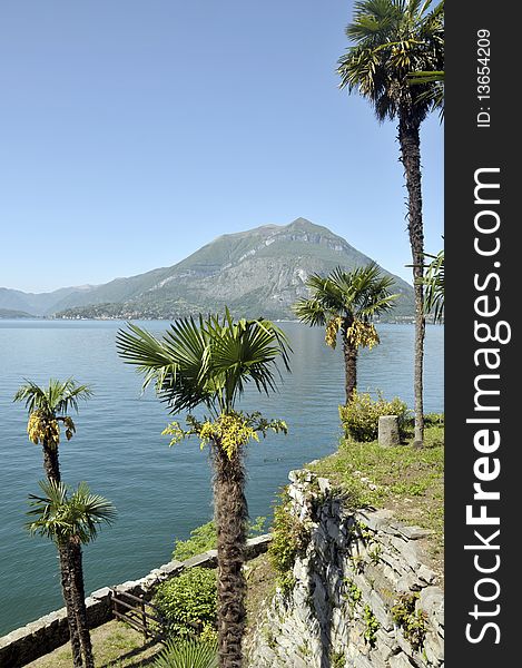 In the tranquil grounds of Villa Monastero on Lake Como tropical palms frame the view