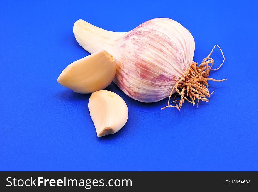 The young garlic and two cloves are opposite blue background. The young garlic and two cloves are opposite blue background