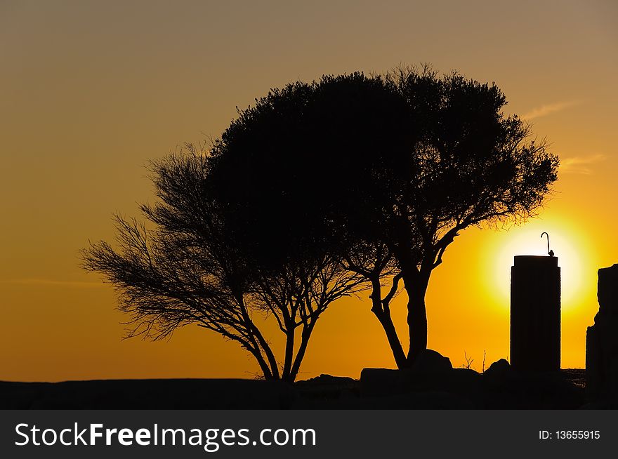 Sunset trees and water source faucet silhouettes