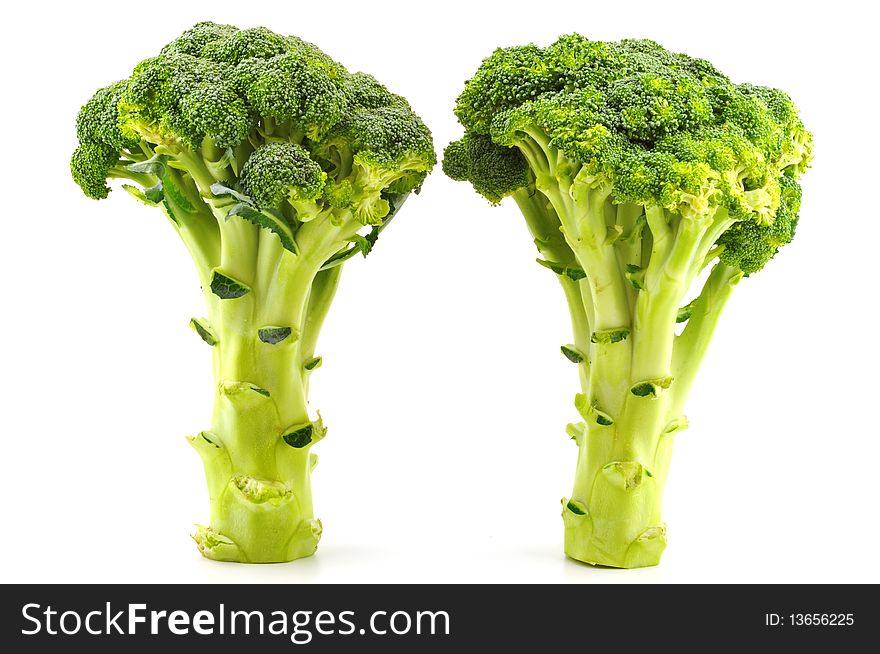The  two branches  broccoli should stand as trees isolated against a white background