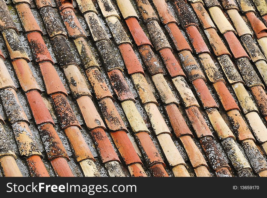 An old tile roof with moss growing, typical design and construction of the late 19th century.