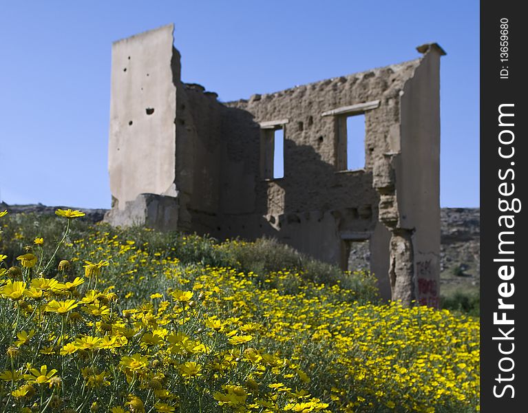 Abandoned house at Ayios Sozomenos village with yellow daisy flowers around. Abandoned house at Ayios Sozomenos village with yellow daisy flowers around.