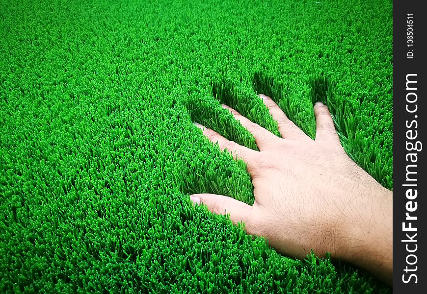 Hand placed on green artificial grass.