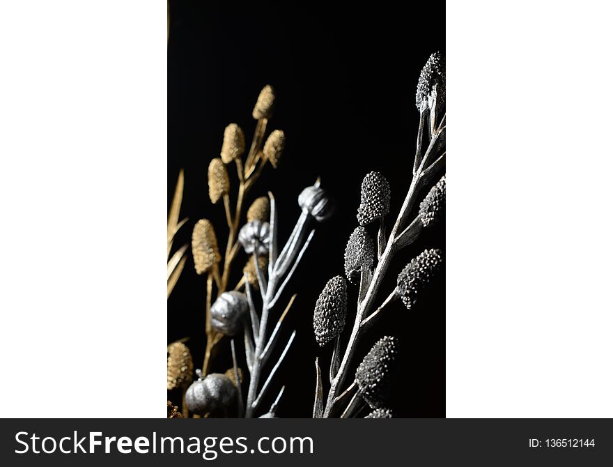 Dry flower with pine leeches and corn for decoration purpose