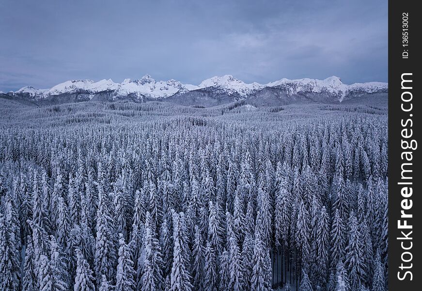 Snow covered winter forest landscape aerial view with pines and mountains in the background. Cold morning sunrise with alpenglow. Snow covered winter forest landscape aerial view with pines and mountains in the background. Cold morning sunrise with alpenglow.