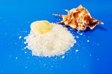 Sea Salt With Shells Royalty Free Stock Photos Sea Salt With Shells Royalty Free Stock Photos