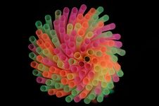 Straws Royalty Free Stock Images