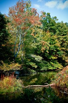 Autumn Lake Reflection Stock Photography
