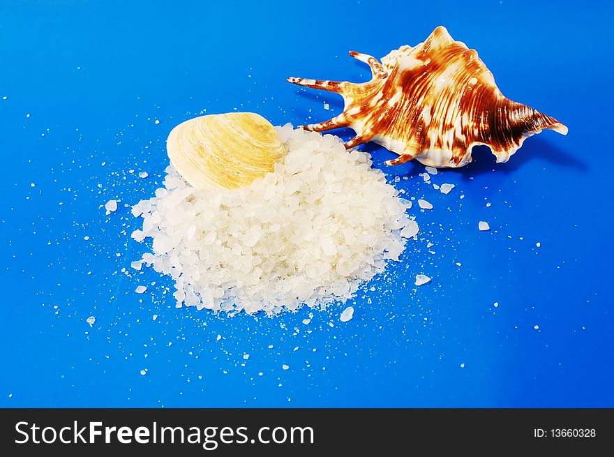 Sea salt with shells