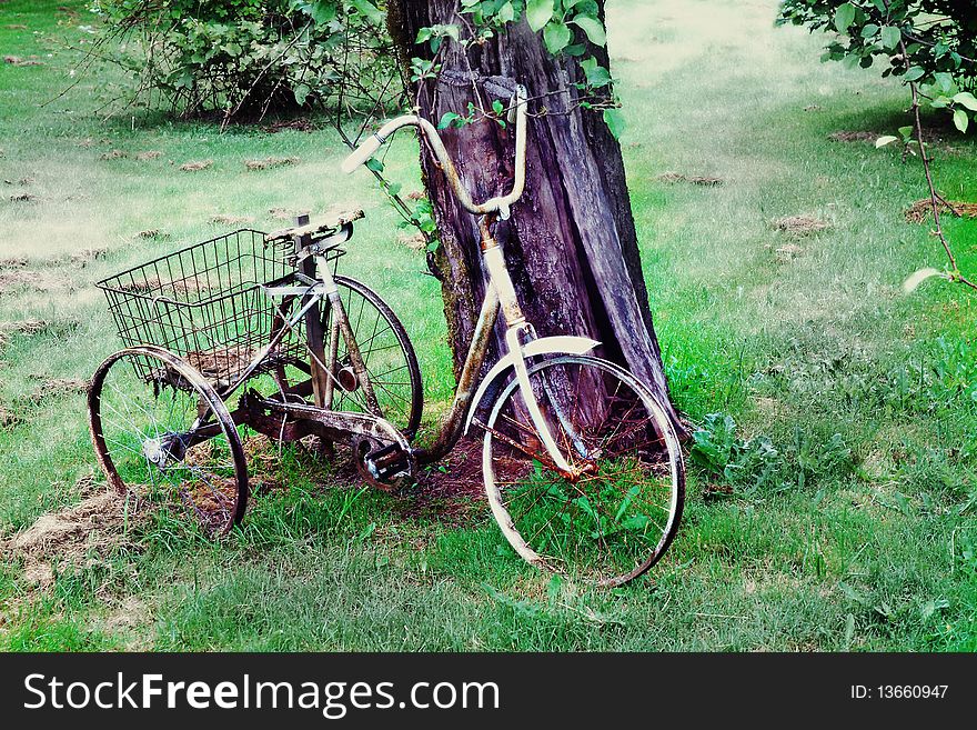 Image of an old bicycle propped on a tree stump. Image of an old bicycle propped on a tree stump