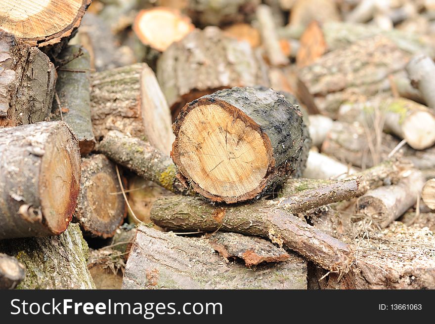 Wood in pieces - Stack of firewood