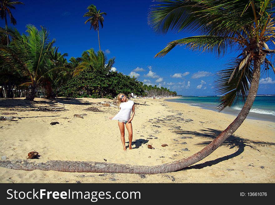 Sexy Girl On Caribbean Beach With Palm