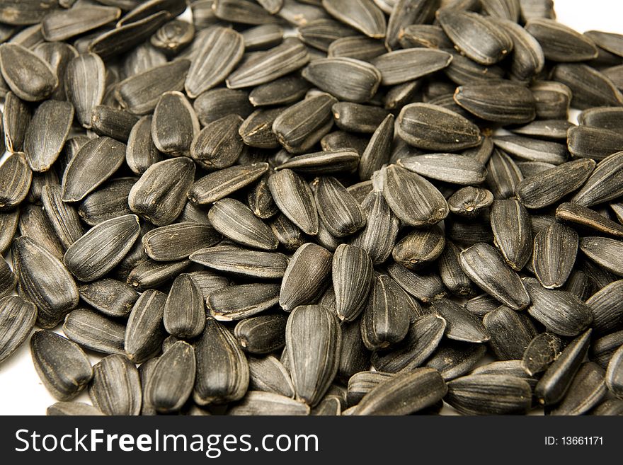 Close-up image of lots of sunflower seeds