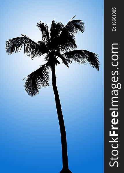 Silhouette of palm on blue gradient background