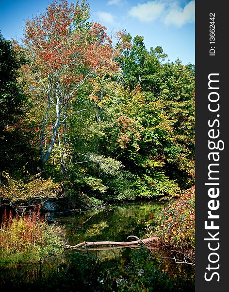 An autumn landscape scene of fall trees and a lake with a reflection. An autumn landscape scene of fall trees and a lake with a reflection.