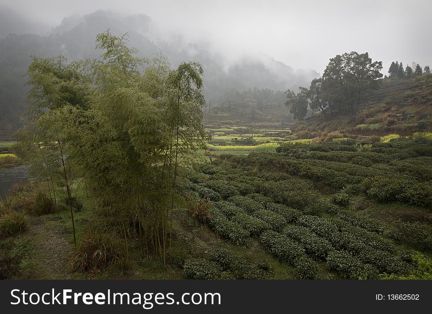 A landscape photo of a foggy countryside near Wuyuan, China. A landscape photo of a foggy countryside near Wuyuan, China