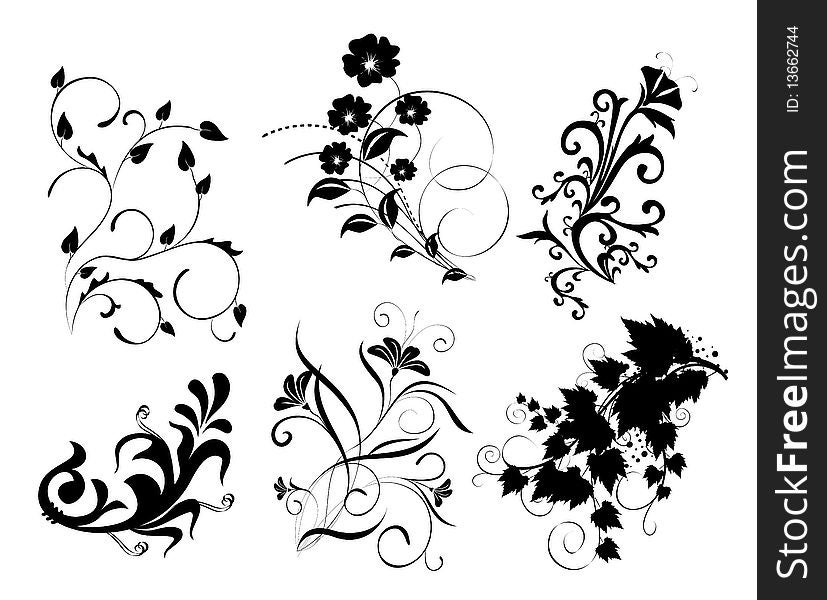 Drawing of flower and plant pattern in a white background